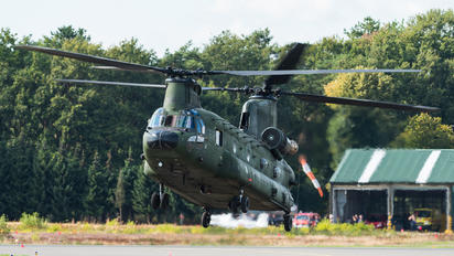 D-667 - Netherlands - Air Force Boeing CH-47D Chinook