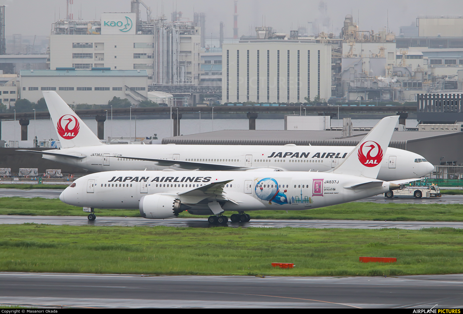 JAL - Japan Airlines JA837J aircraft at Tokyo - Haneda Intl
