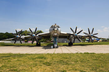 85 - Ukraine - Navy Tupolev Tu-142MZ