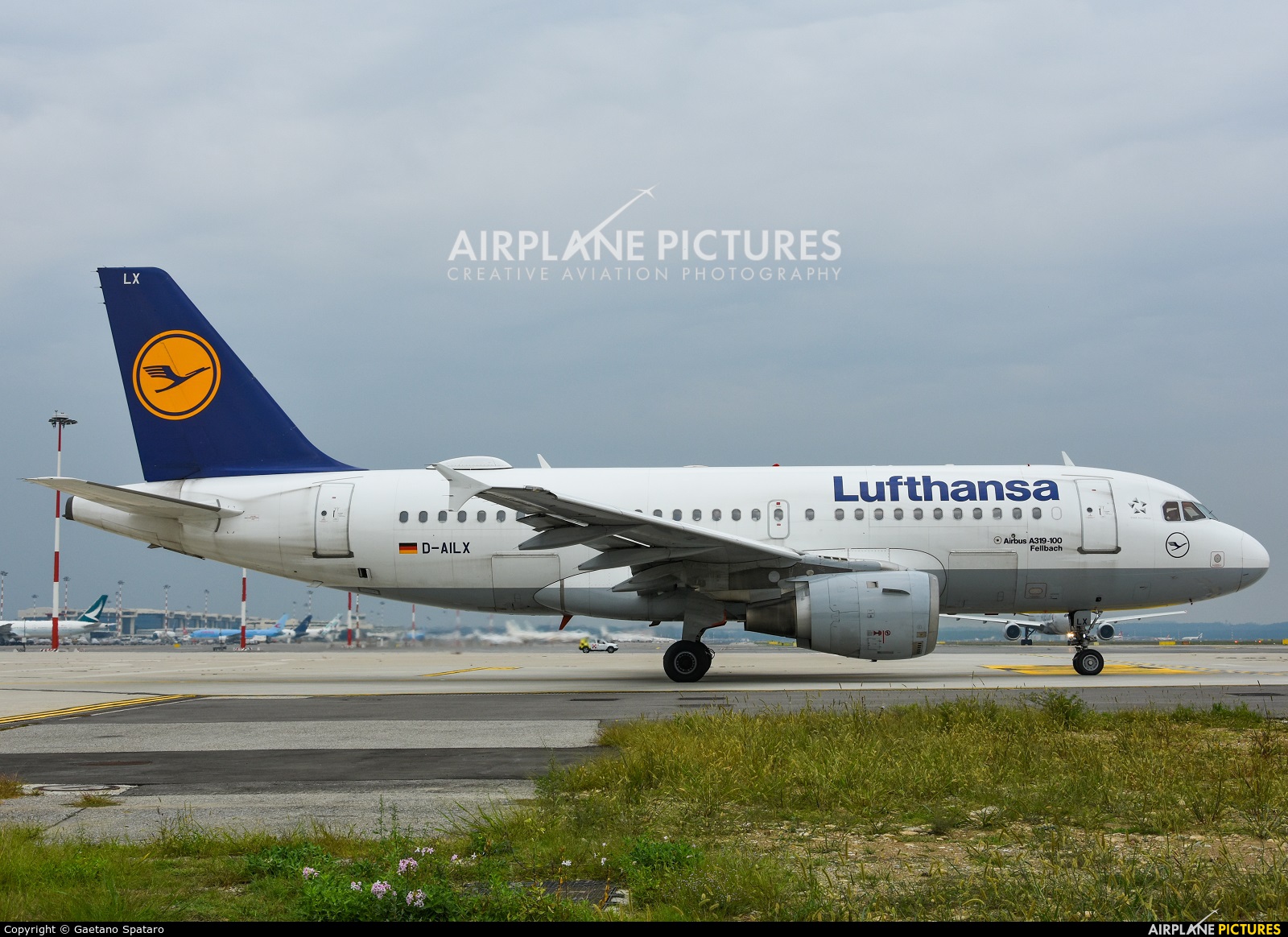 Lufthansa D-AILX aircraft at Milan - Malpensa