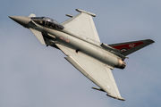 Royal Air Force ZK318 image