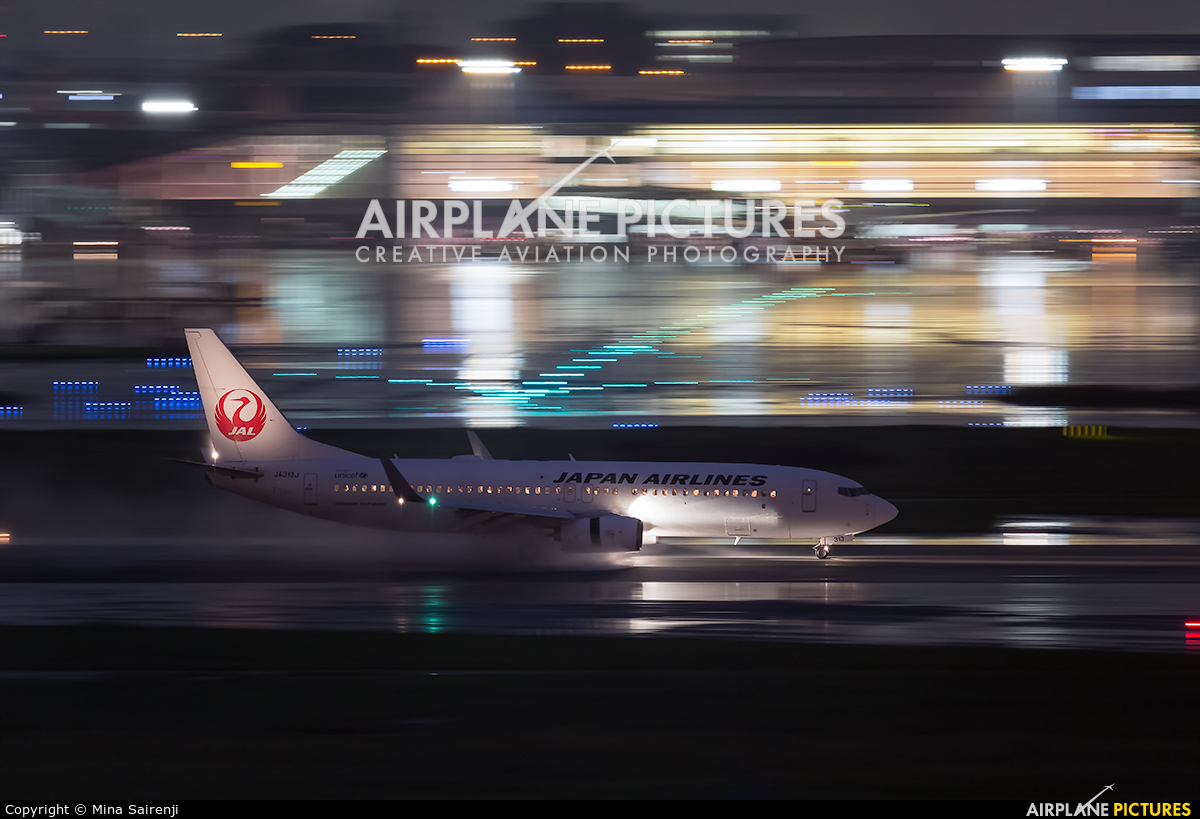 JAL - Japan Airlines JA313J aircraft at Tokyo - Haneda Intl
