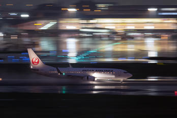 JA313J - JAL - Japan Airlines Boeing 737-800