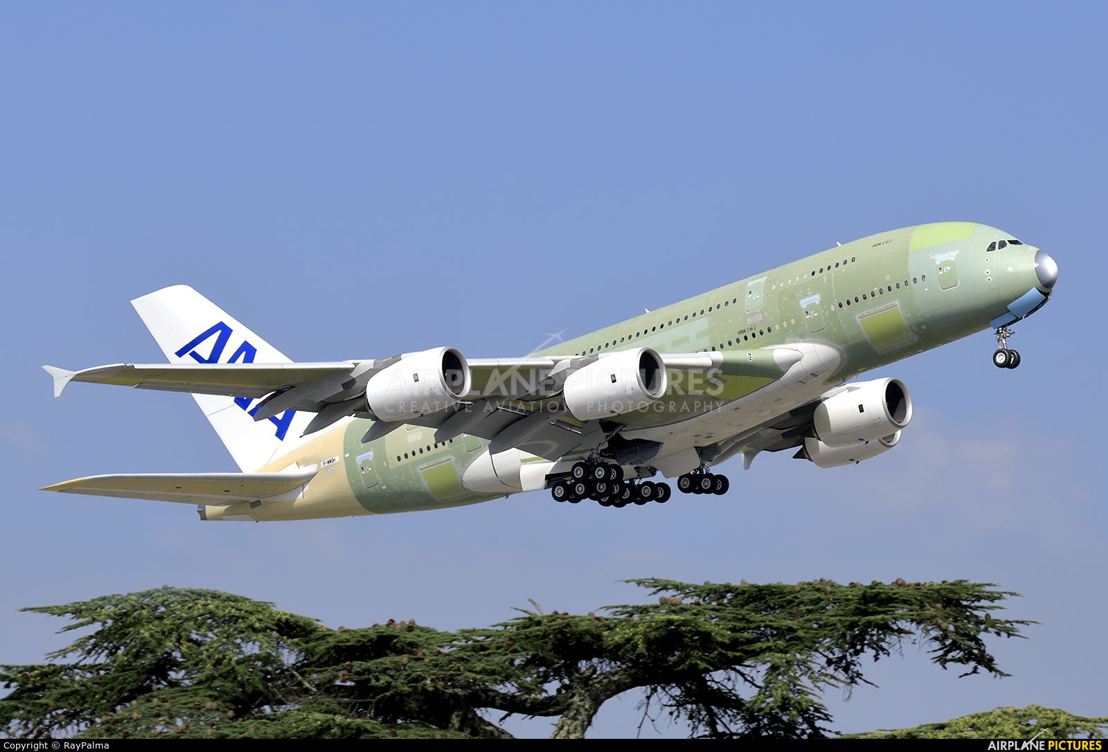 ANA - All Nippon Airways JA380A aircraft at Toulouse - Blagnac