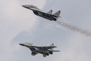 Slovakia -  Air Force 3709 image