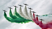 MM55052 - Italy - Air Force "Frecce Tricolori" Aermacchi MB-339-A/PAN aircraft