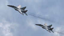 Slovakia -  Air Force 1303 image