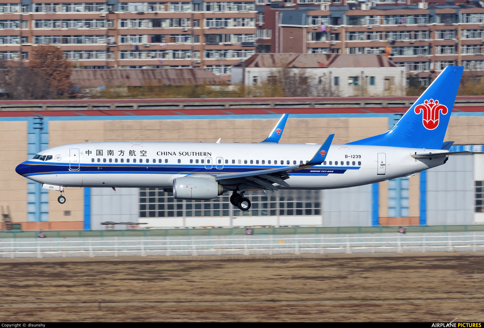 China Southern Airlines B-1239 aircraft at Dalian Zhoushuizi Int'l