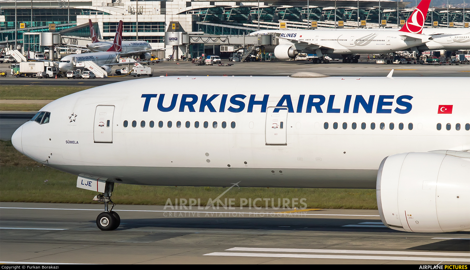 Turkish Airlines TC-LJE aircraft at Istanbul - Ataturk
