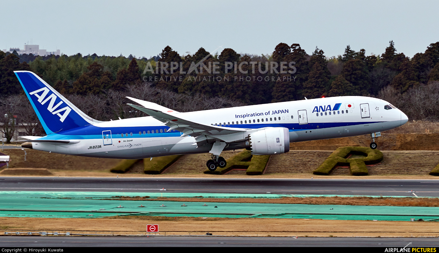 ANA - All Nippon Airways JA823A aircraft at Tokyo - Narita Intl