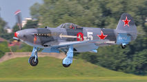 D-FYGJ - Private Yakovlev Yak-3M aircraft