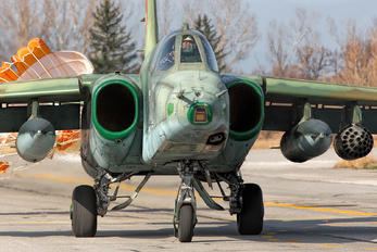 246 - Bulgaria - Air Force Sukhoi Su-25
