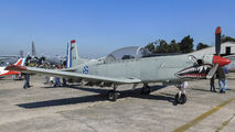 Guatemala - Air Force 212 image