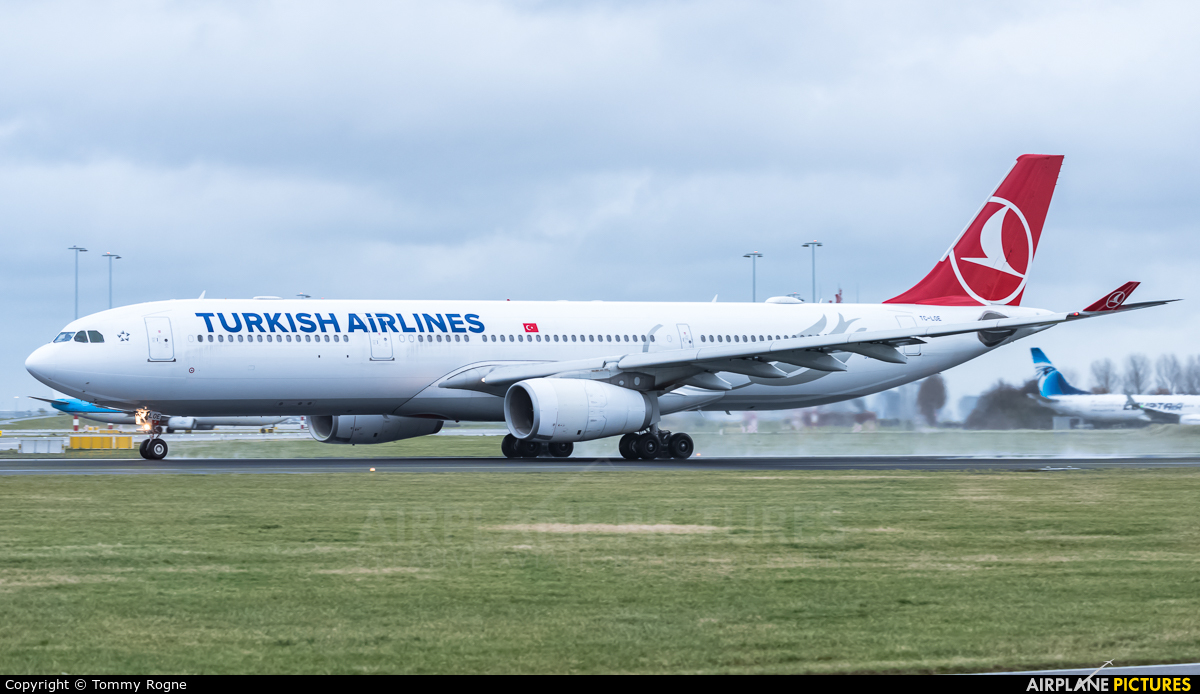 Turkish Airlines TC-LOE aircraft at Amsterdam - Schiphol