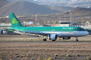 Aer Lingus EI-DEE image
