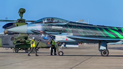 31-00 - Germany - Air Force Eurofighter Typhoon