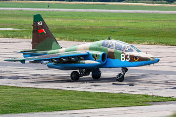 83 - Belarus - Air Force Sukhoi Su-25UB