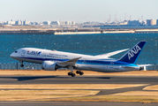 ANA - All Nippon Airways JA838A image