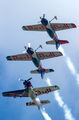 The Flying Bulls Duo : Aerobatics Team OK-FBD image