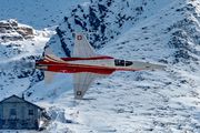 J-3084 - Switzerland - Air Force:  Patrouille de Suisse Northrop F-5E Tiger II aircraft