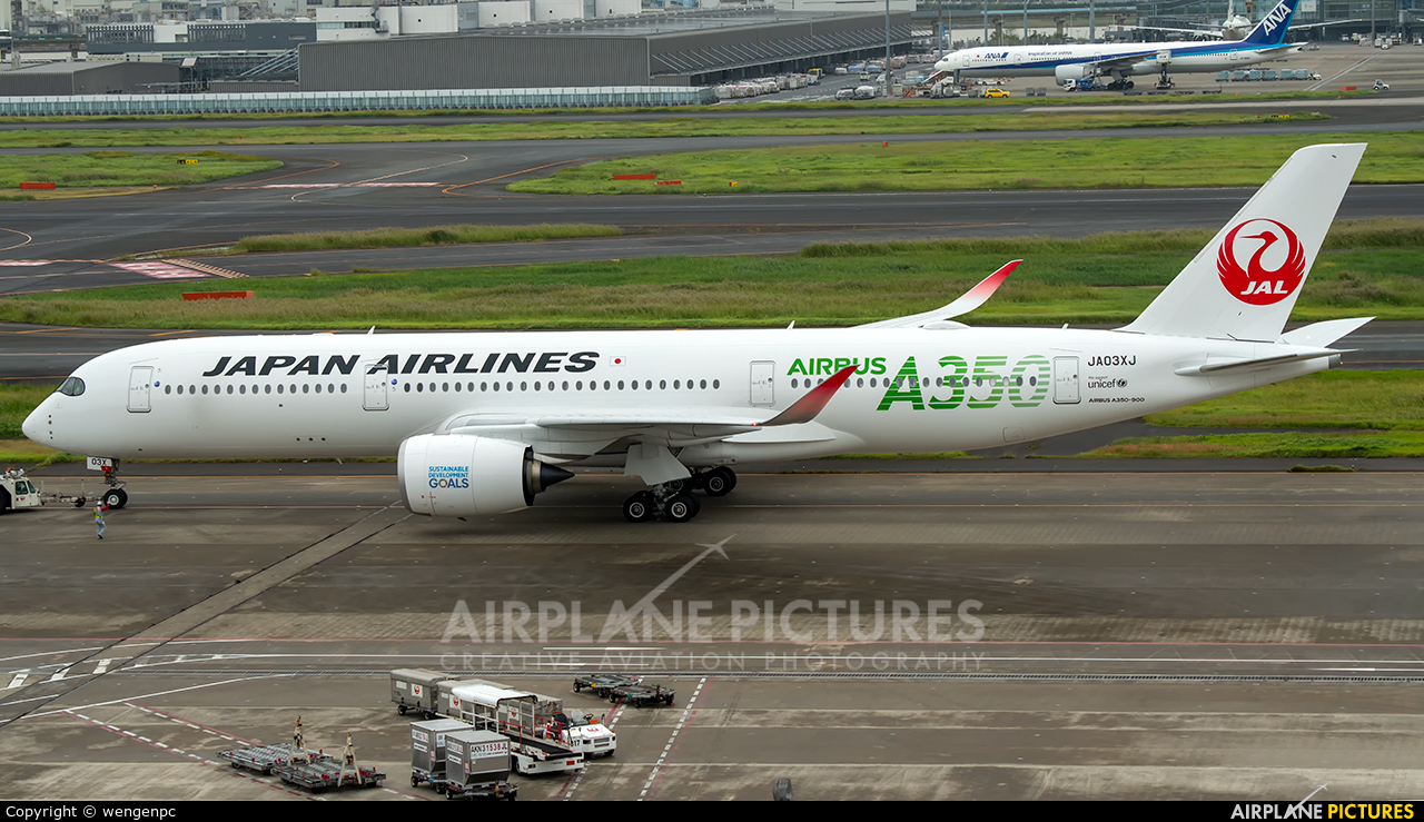 JA03XJ - JAL - Japan Airlines Airbus A350-900 at Tokyo - Haneda 