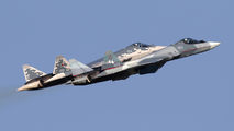 Russia - Air Force 052 image