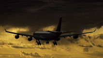 Lufthansa D-AIGO image