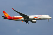 Hainan Airlines B-304Z image