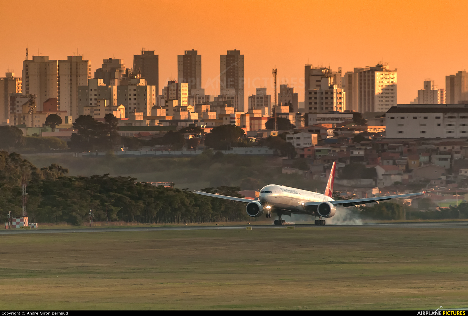 Turkish Airlines TC-JJP aircraft at São Paulo - Guarulhos