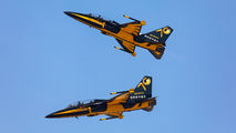 Korea (South) - Air Force: Black Eagles 10-0055 image