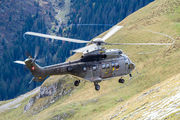 T-334 - Switzerland - Air Force Aerospatiale AS532 Cougar aircraft