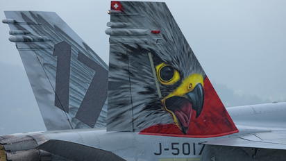 J-5017 - Switzerland - Air Force McDonnell Douglas F-18C Hornet