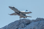 Switzerland - Air Force J-5006 image