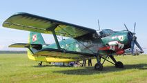 SP-MLP - Museum of Polish Aviation Antonov An-2 aircraft