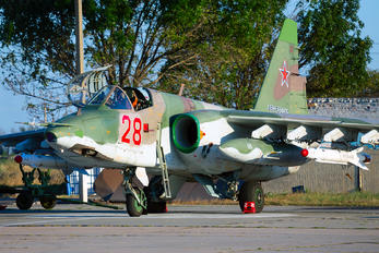 28 - Russia - Air Force Sukhoi Su-25