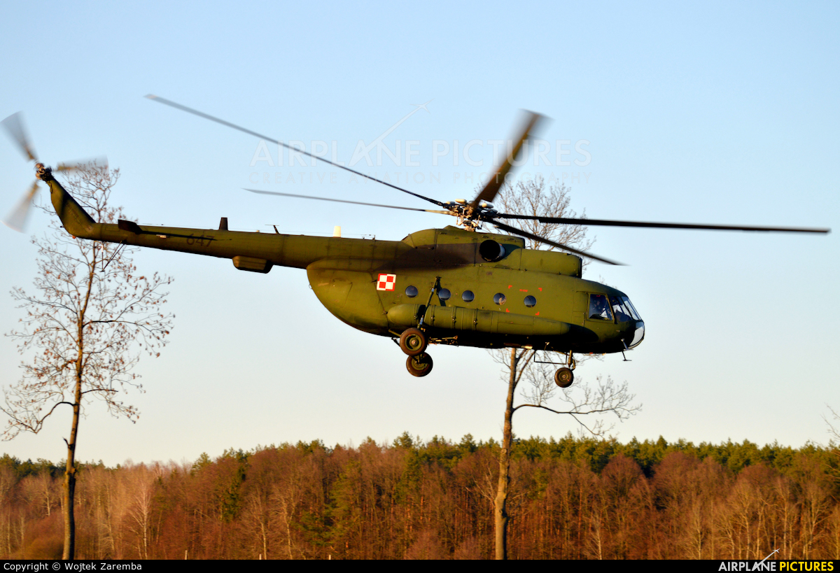 Poland - Army 647 aircraft at Undisclosed location