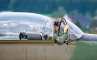Austria - Air Force 3H-FO image