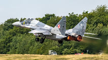 Poland - Air Force 40 image
