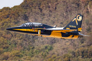 10-0058 - Korea (South) - Air Force: Black Eagles Korean Aerospace T-50 Golden Eagle aircraft