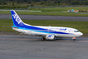 ANA - All Nippon Airways JA307K image