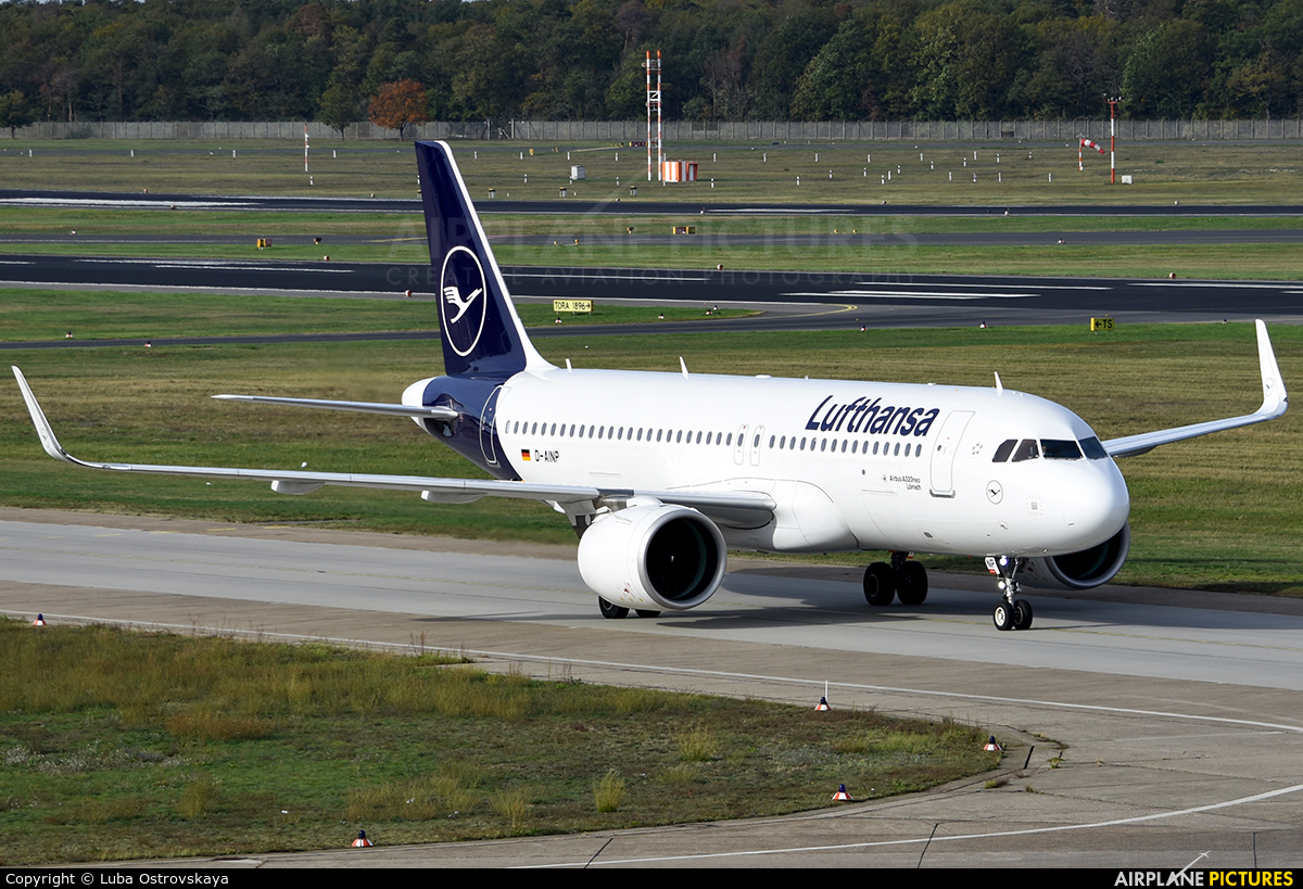 Lufthansa D-AINP aircraft at Berlin - Tegel
