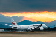 JAL - Japan Airlines JA837J image