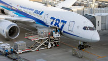 JA818A - ANA - All Nippon Airways Boeing 787-8 Dreamliner aircraft