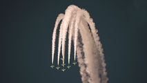 Saudi Arabia - Air Force: Saudi Hawks 8808 image
