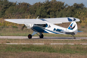 D-ERMA - Private Piper PA-18 Super Cub