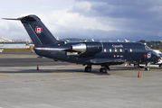 Canada - Air Force 144614 image