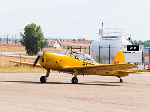 EC-LVH - Fundación Infante de Orleans - FIO de Havilland Canada DHC-1 Chipmunk