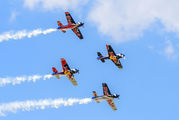 The Flying Bulls : Aerobatics Team OK-FBA image
