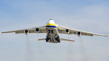 Antonov Airlines /  Design Bureau UR-82029 image