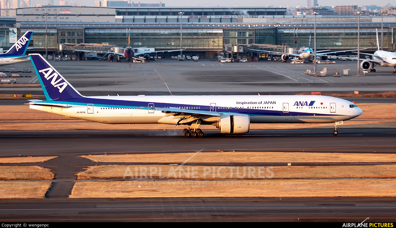 ANA - All Nippon Airways JA787A aircraft at Tokyo - Haneda Intl